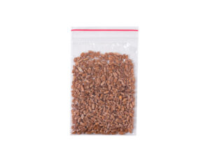 семена микрозелени пшеницы